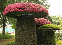移動花園知多少?