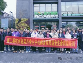 構筑學習平臺,傳授杭州網紅高架月季經驗