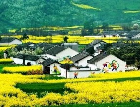 四部門印發《“十四五”鄉村綠化美化行動方案》，哪些亮點值得關注？