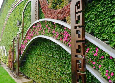 植物墻解決方案