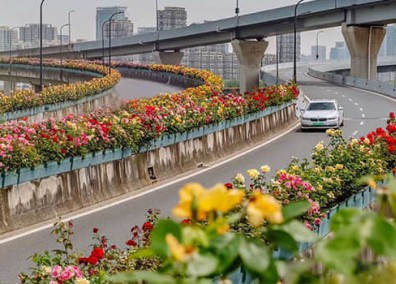 高架橋綠化解決方案