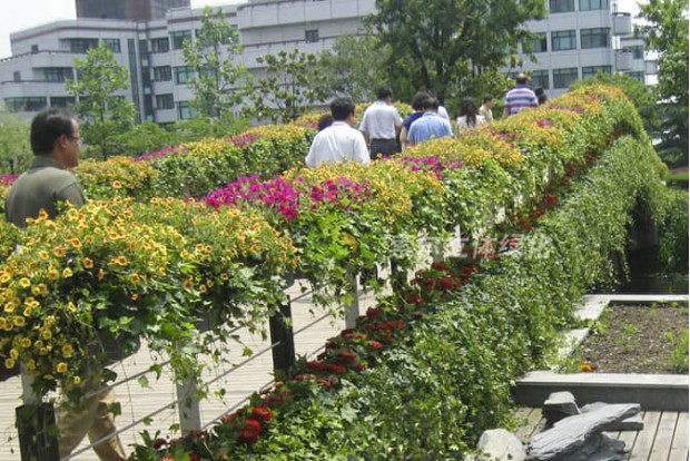 廣場公園景點景觀提升