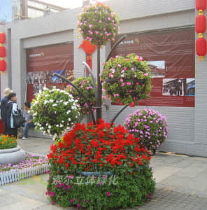 卡盆式景觀花樹