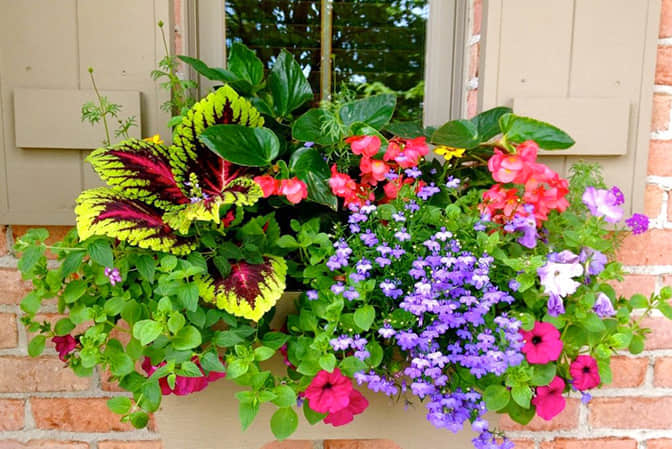 道路街道景觀提升步行街門店窗臺美化