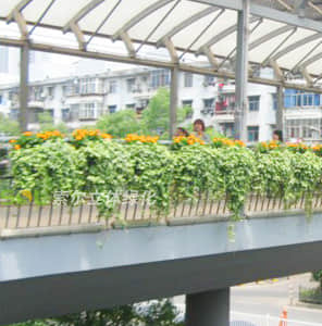 人行天橋綠化-單面掛