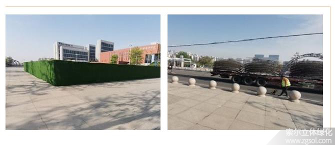 22山東青島膠州市民文化中心五一立體花壇“幸福花開” (45).jpg